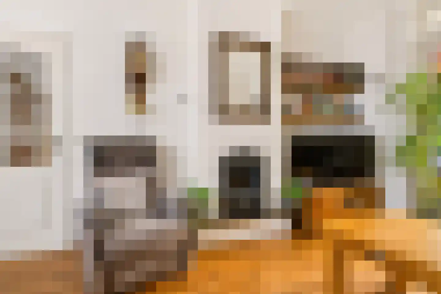 Jan van Harenstraat 5 Winssen thumbnail 10