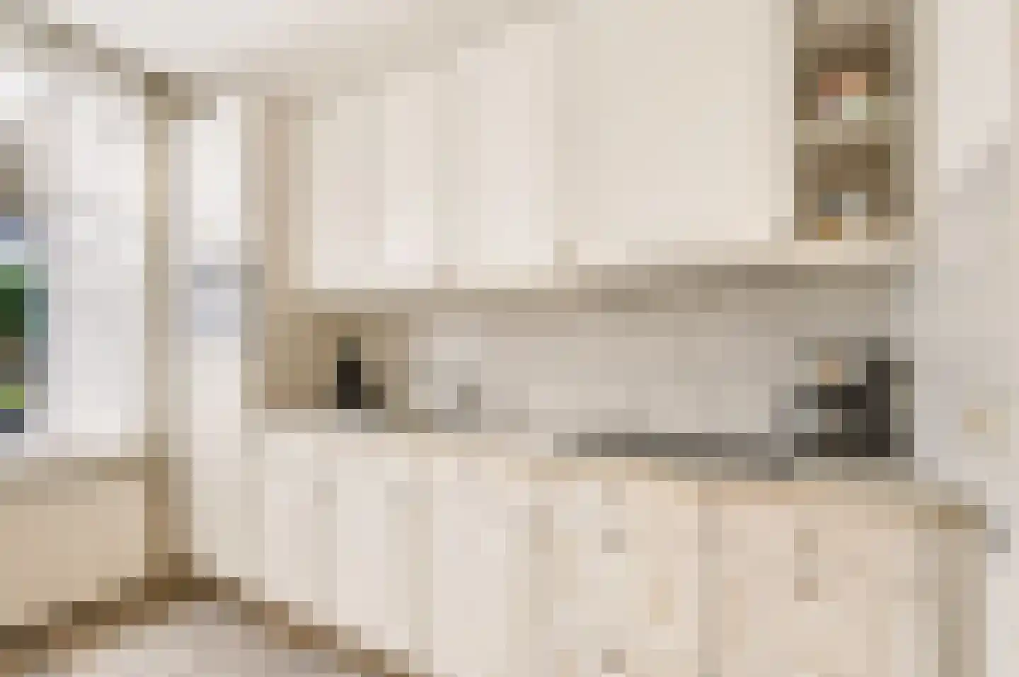 Jan van Harenstraat 5 Winssen thumbnail 12