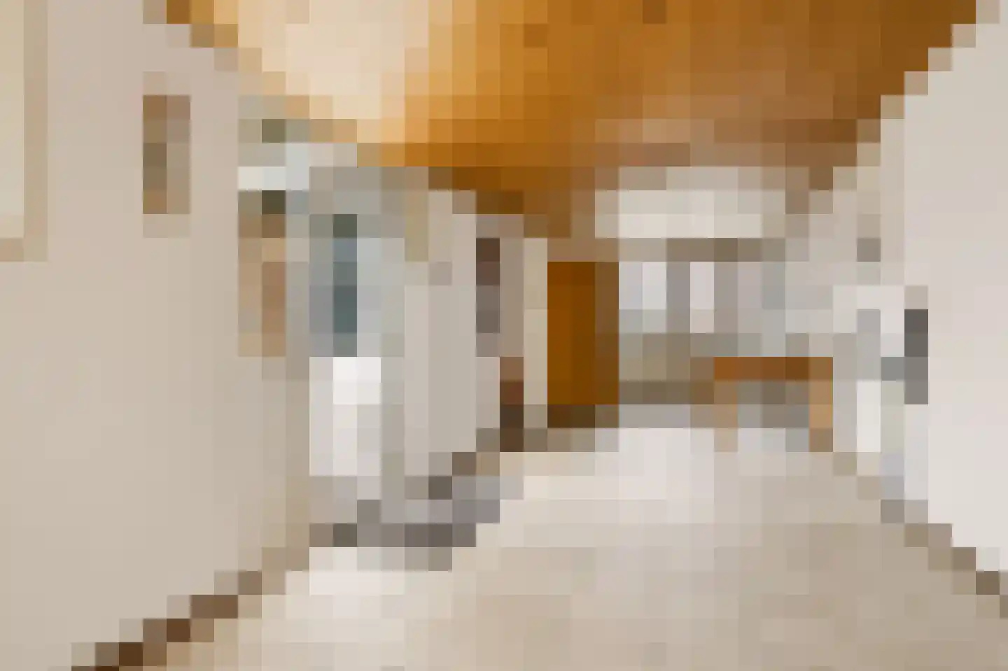 Jan van Harenstraat 5 Winssen thumbnail 14