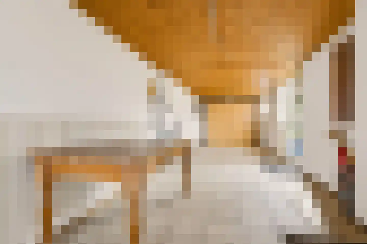 Jan van Harenstraat 5 Winssen thumbnail 15