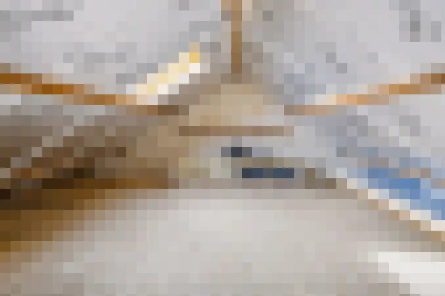 Jan van Harenstraat 5 Winssen thumbnail 30