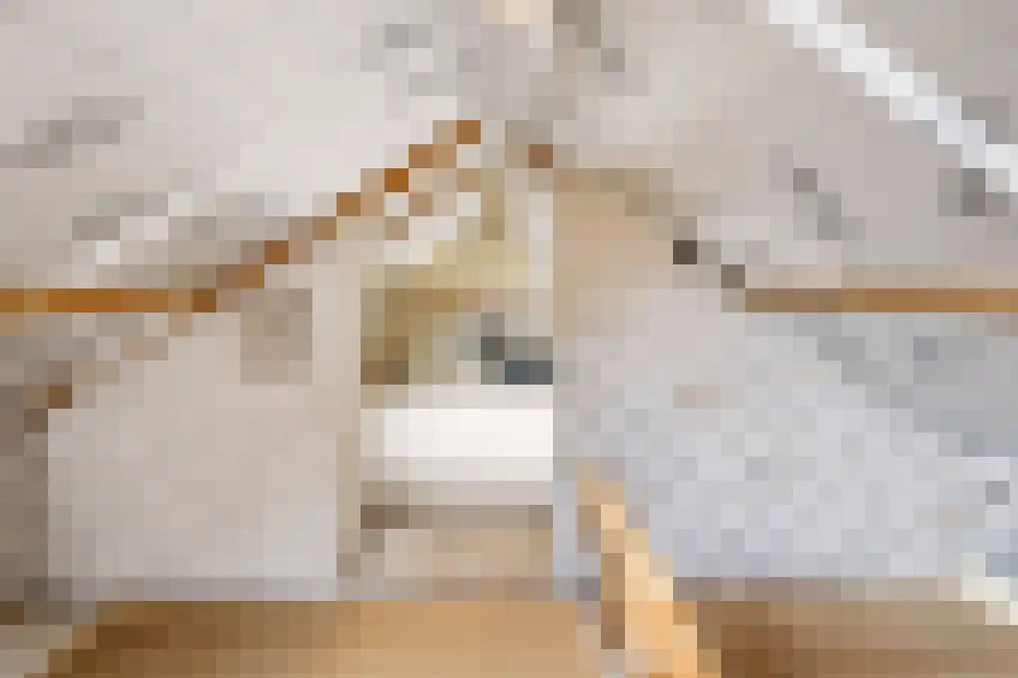 Jan van Harenstraat 5 Winssen thumbnail 31