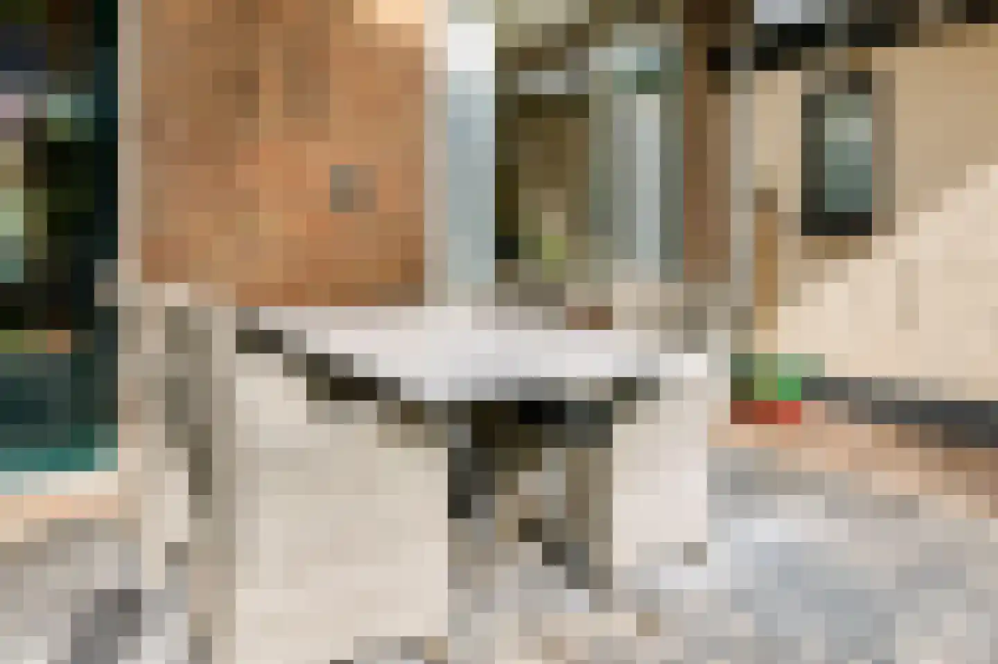 Jan van Harenstraat 5 Winssen thumbnail 37