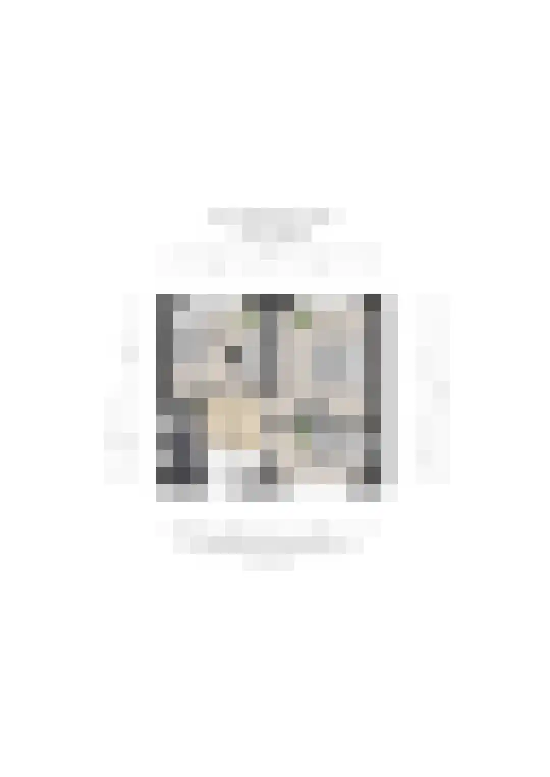 Jan van Harenstraat 5 Winssen thumbnail 52