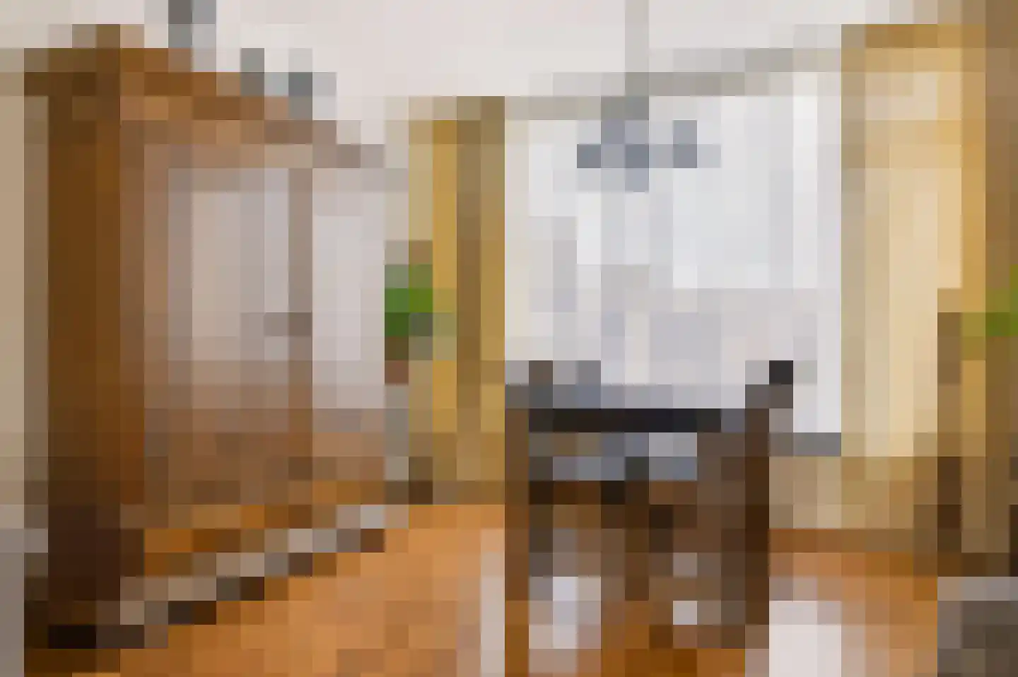 Jan van Harenstraat 5 Winssen thumbnail 7