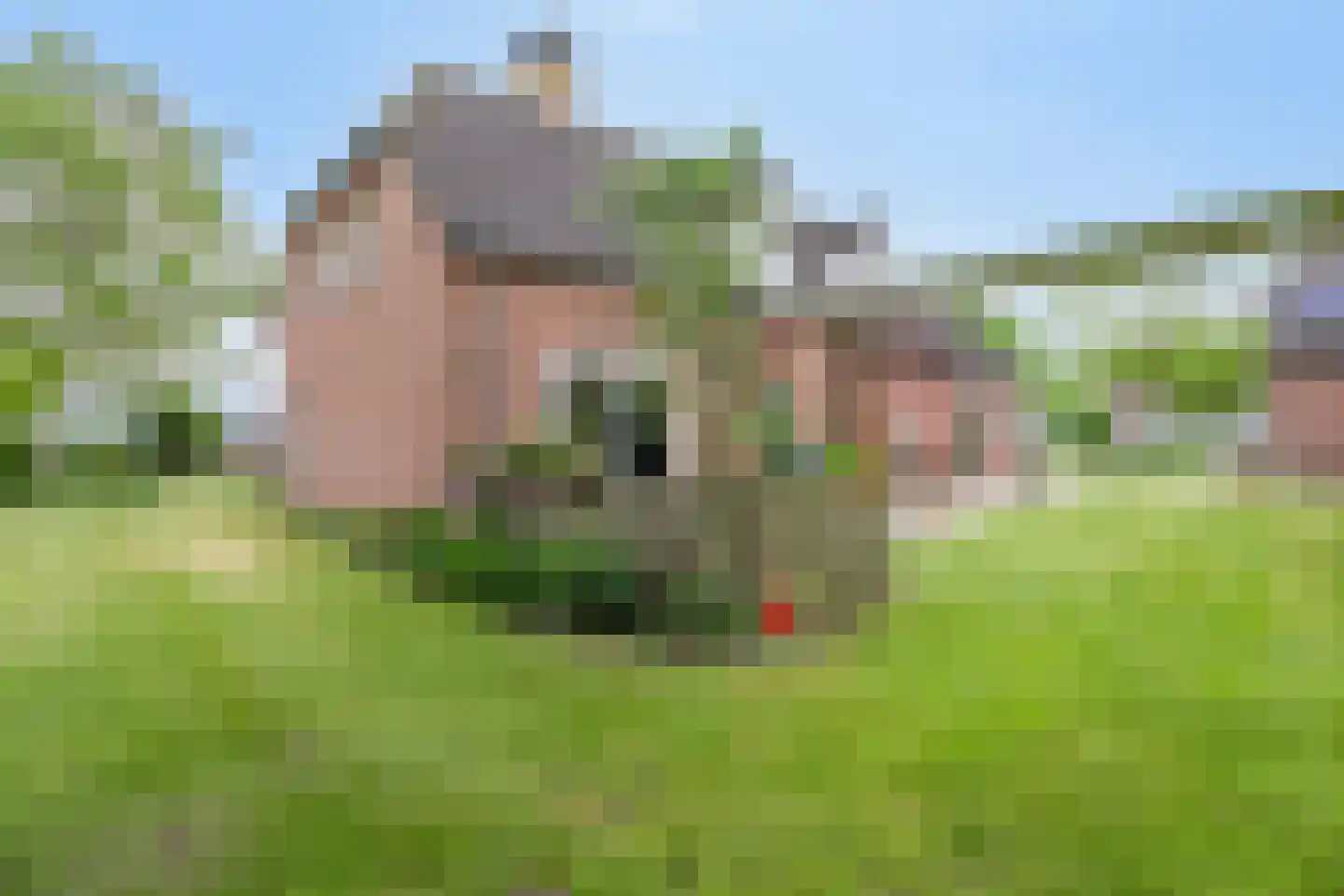 Jan van Havenstraat 33 Ommel thumbnail 39