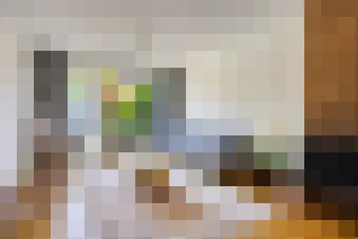 Jan van Heelustraat 11 Eindhoven thumbnail 10
