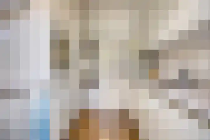 Jan van Heelustraat 11 Eindhoven thumbnail 13