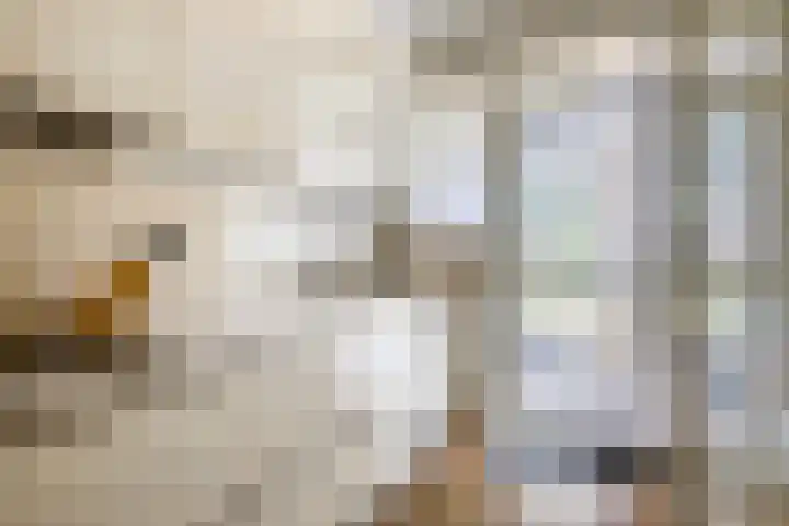 Jan van Heelustraat 11 Eindhoven thumbnail 14