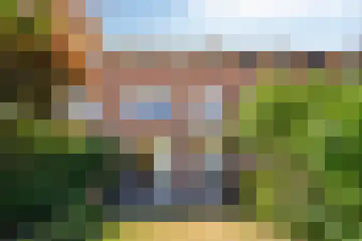 Jan van Heelustraat 11 Eindhoven thumbnail 15