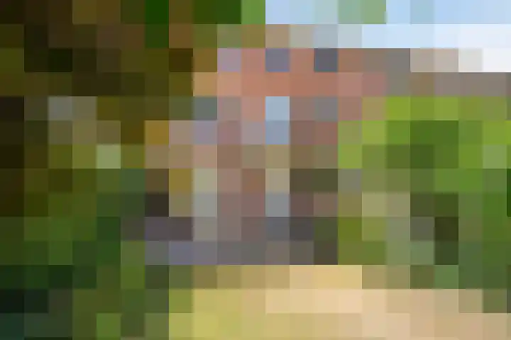 Jan van Heelustraat 11 Eindhoven thumbnail 16