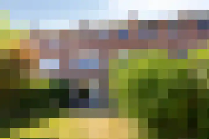 Jan van Heelustraat 11 Eindhoven thumbnail 17