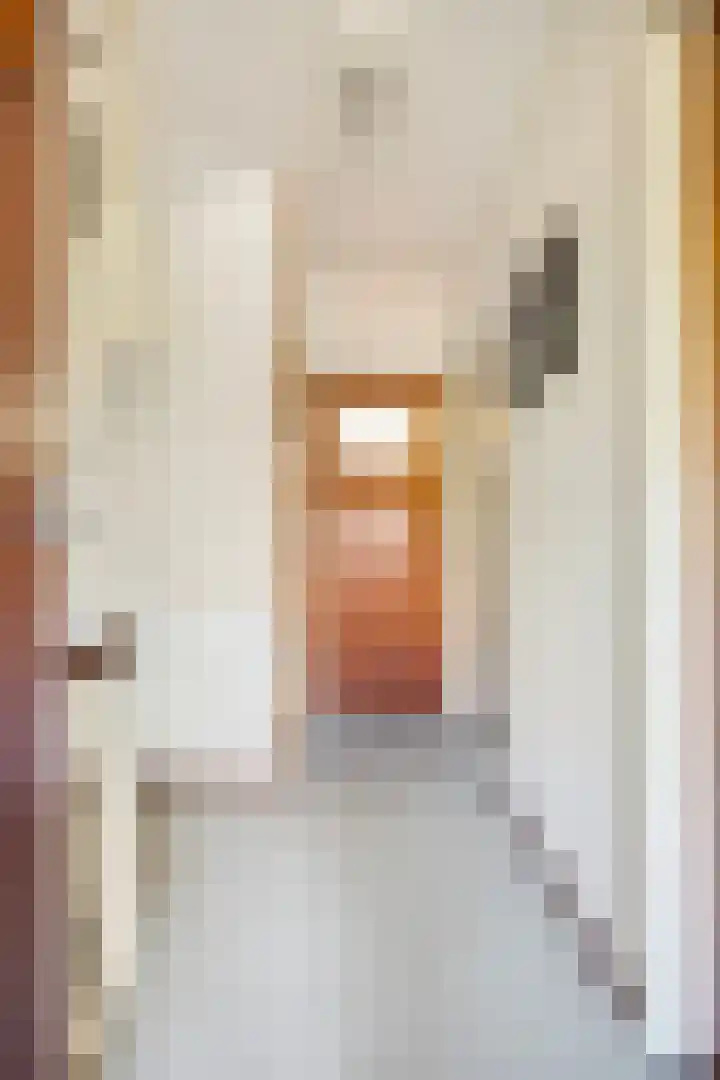 Jan van Heelustraat 11 Eindhoven thumbnail 20