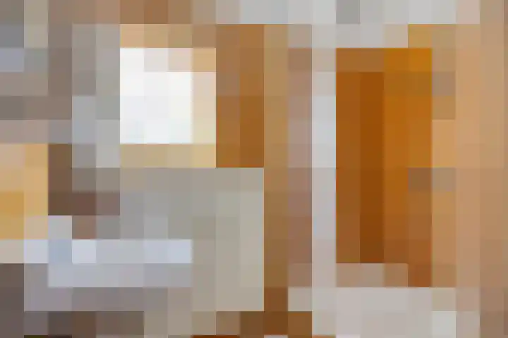 Jan van Heelustraat 11 Eindhoven thumbnail 24
