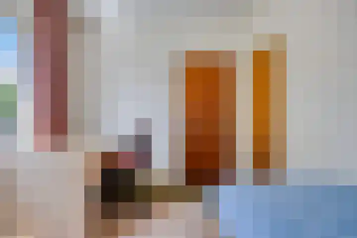 Jan van Heelustraat 11 Eindhoven thumbnail 26