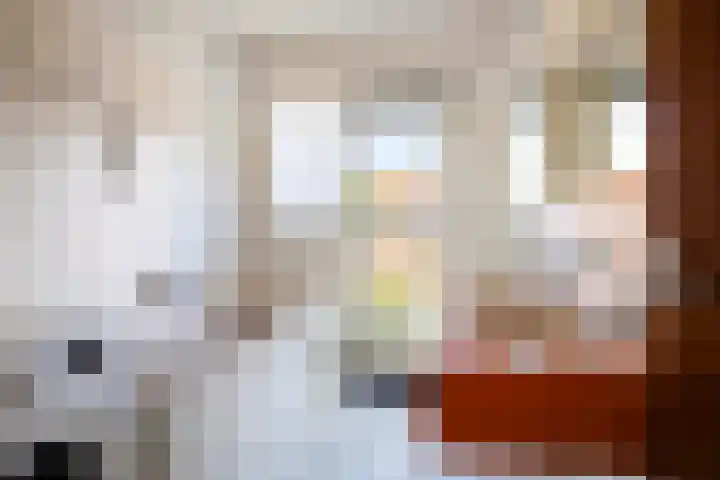 Jan van Heelustraat 11 Eindhoven thumbnail 27