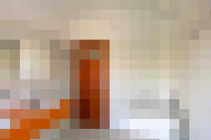 Jan van Heelustraat 11 Eindhoven thumbnail 28