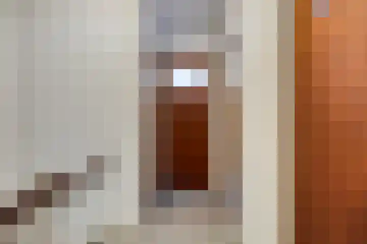 Jan van Heelustraat 11 Eindhoven thumbnail 30