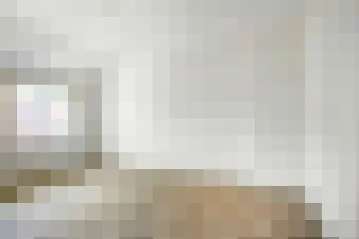 Jan van Heelustraat 11 Eindhoven thumbnail 31