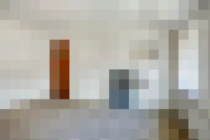 Jan van Heelustraat 11 Eindhoven thumbnail 32