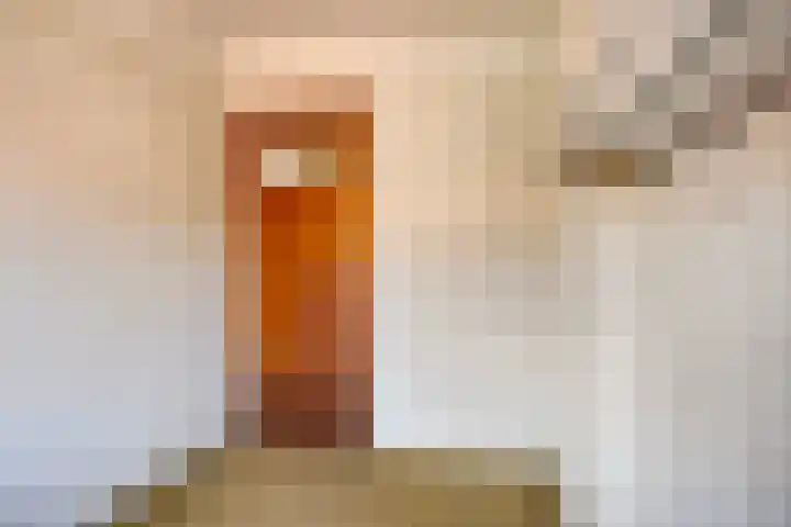 Jan van Heelustraat 11 Eindhoven thumbnail 34