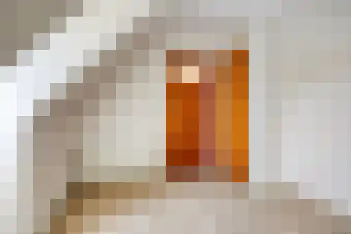Jan van Heelustraat 11 Eindhoven thumbnail 35