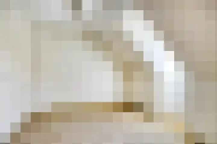 Jan van Heelustraat 11 Eindhoven thumbnail 36