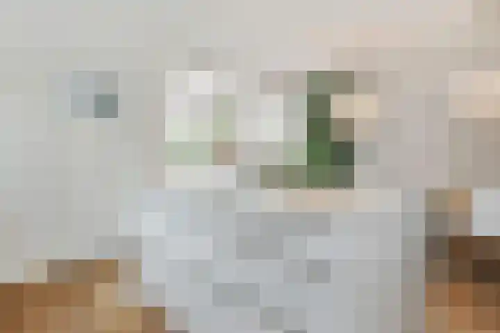 Jan van Heelustraat 2 Eindhoven thumbnail 11