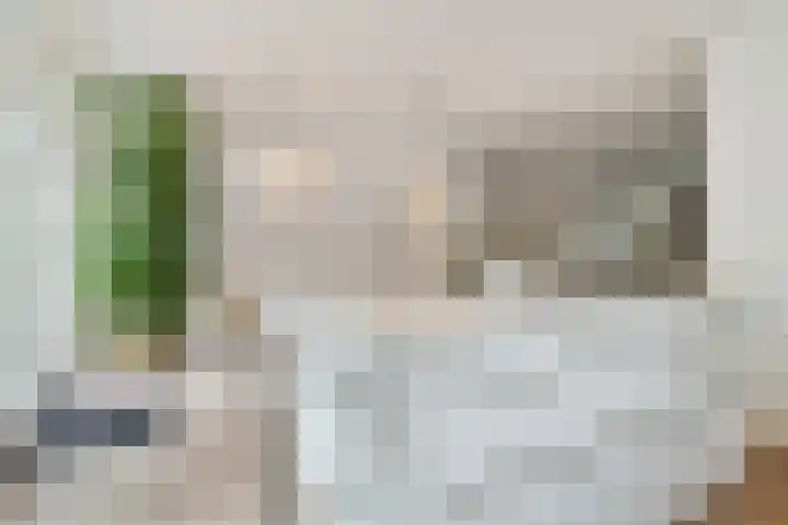Jan van Heelustraat 2 Eindhoven thumbnail 12