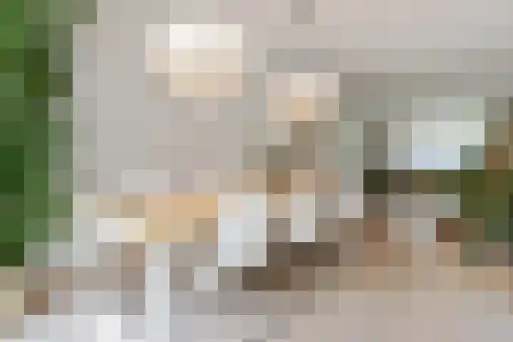 Jan van Heelustraat 2 Eindhoven thumbnail 13