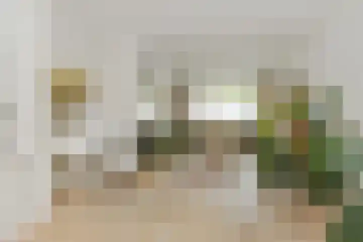 Jan van Heelustraat 2 Eindhoven thumbnail 14