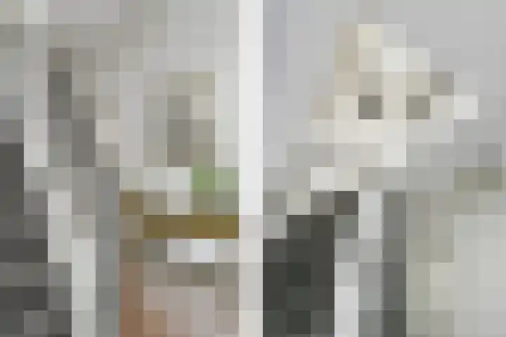 Jan van Heelustraat 2 Eindhoven thumbnail 17