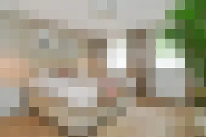 Jan van Heelustraat 2 Eindhoven thumbnail 18
