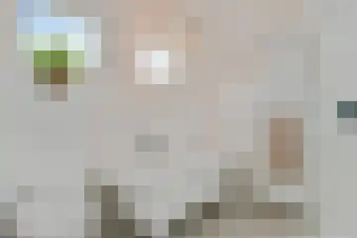 Jan van Heelustraat 2 Eindhoven thumbnail 19