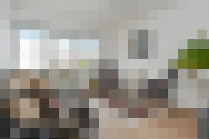 Jan van Heelustraat 2 Eindhoven thumbnail 22