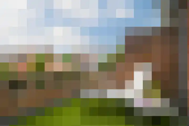 Jan van Heelustraat 2 Eindhoven thumbnail 25