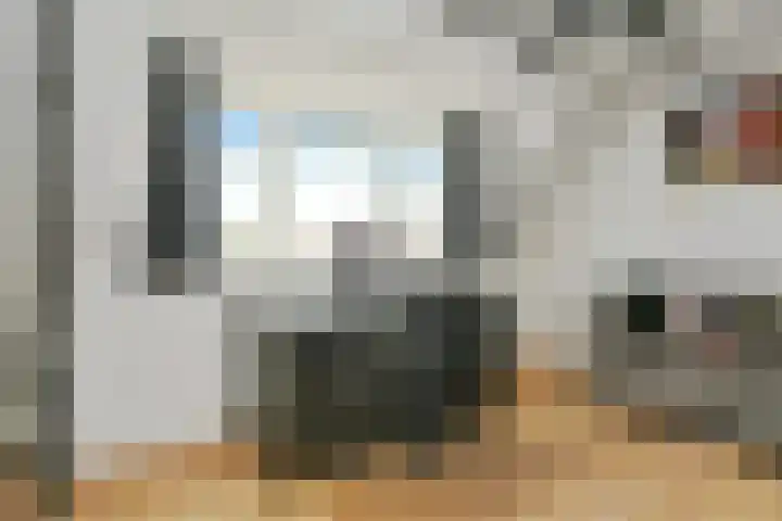 Jan van Heelustraat 2 Eindhoven thumbnail 27