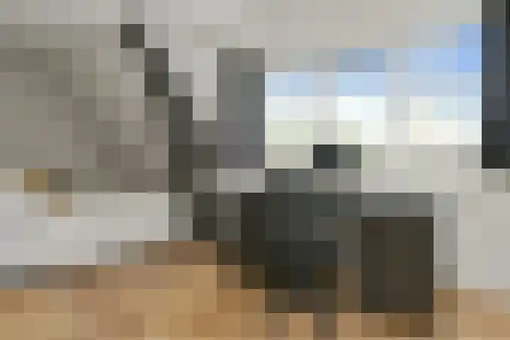 Jan van Heelustraat 2 Eindhoven thumbnail 29