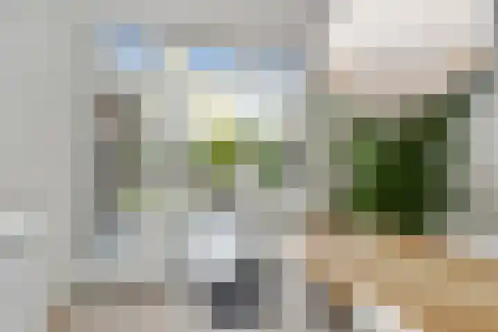 Jan van Heelustraat 2 Eindhoven thumbnail 34