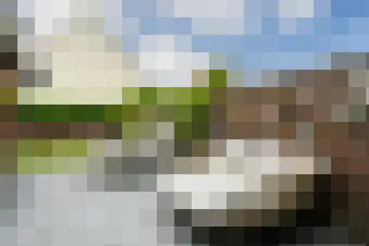 Jan van Heelustraat 2 Eindhoven thumbnail 35