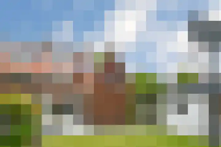 Jan van Heelustraat 2 Eindhoven thumbnail 38