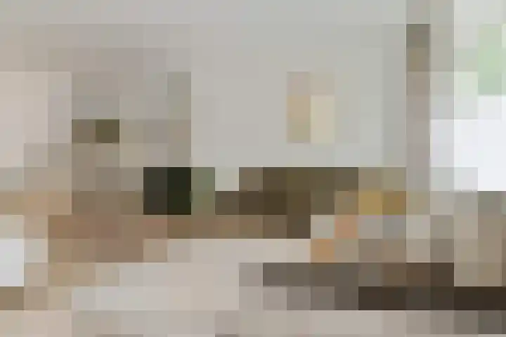 Jan van Heelustraat 2 Eindhoven thumbnail 5
