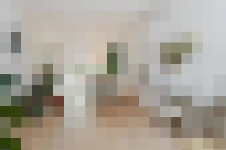 Jan van Heelustraat 2 Eindhoven thumbnail 6