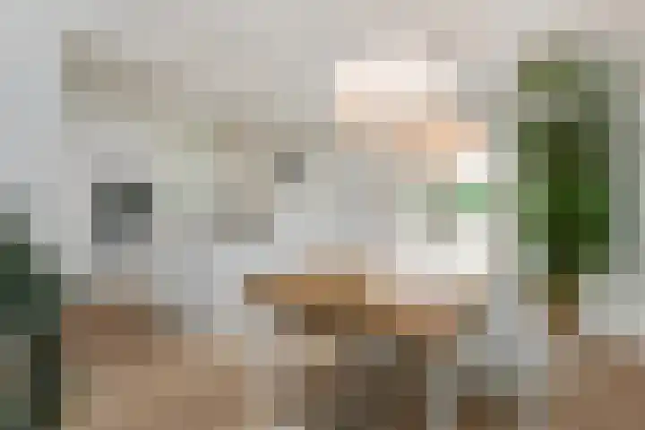 Jan van Heelustraat 2 Eindhoven thumbnail 7