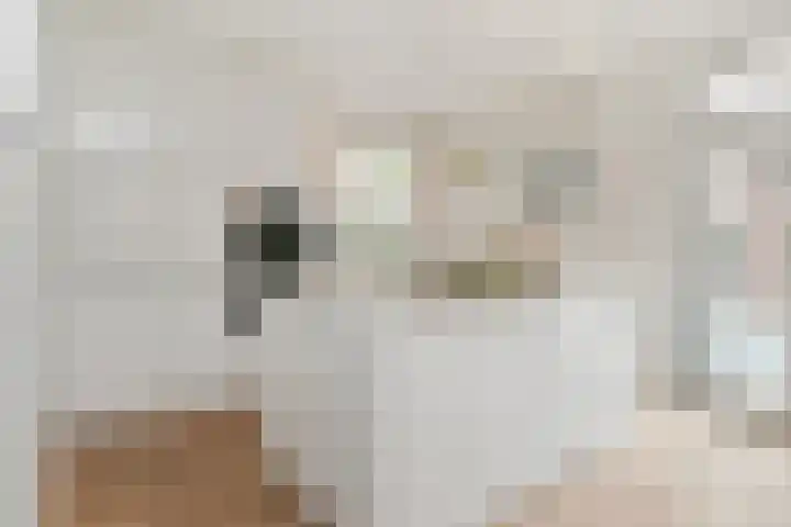 Jan van Heelustraat 2 Eindhoven thumbnail 8
