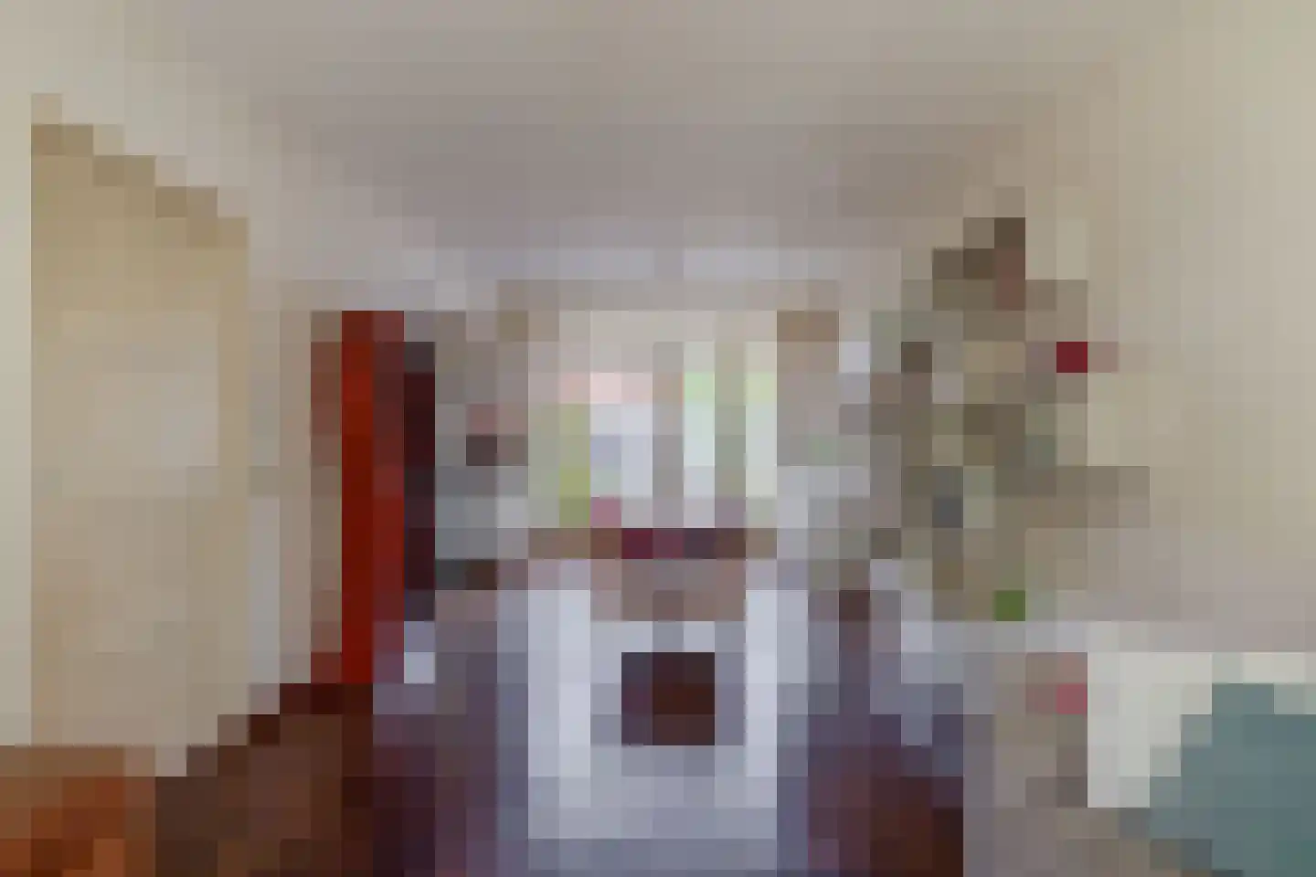 Jan van Heelustraat 4 Eindhoven thumbnail 12