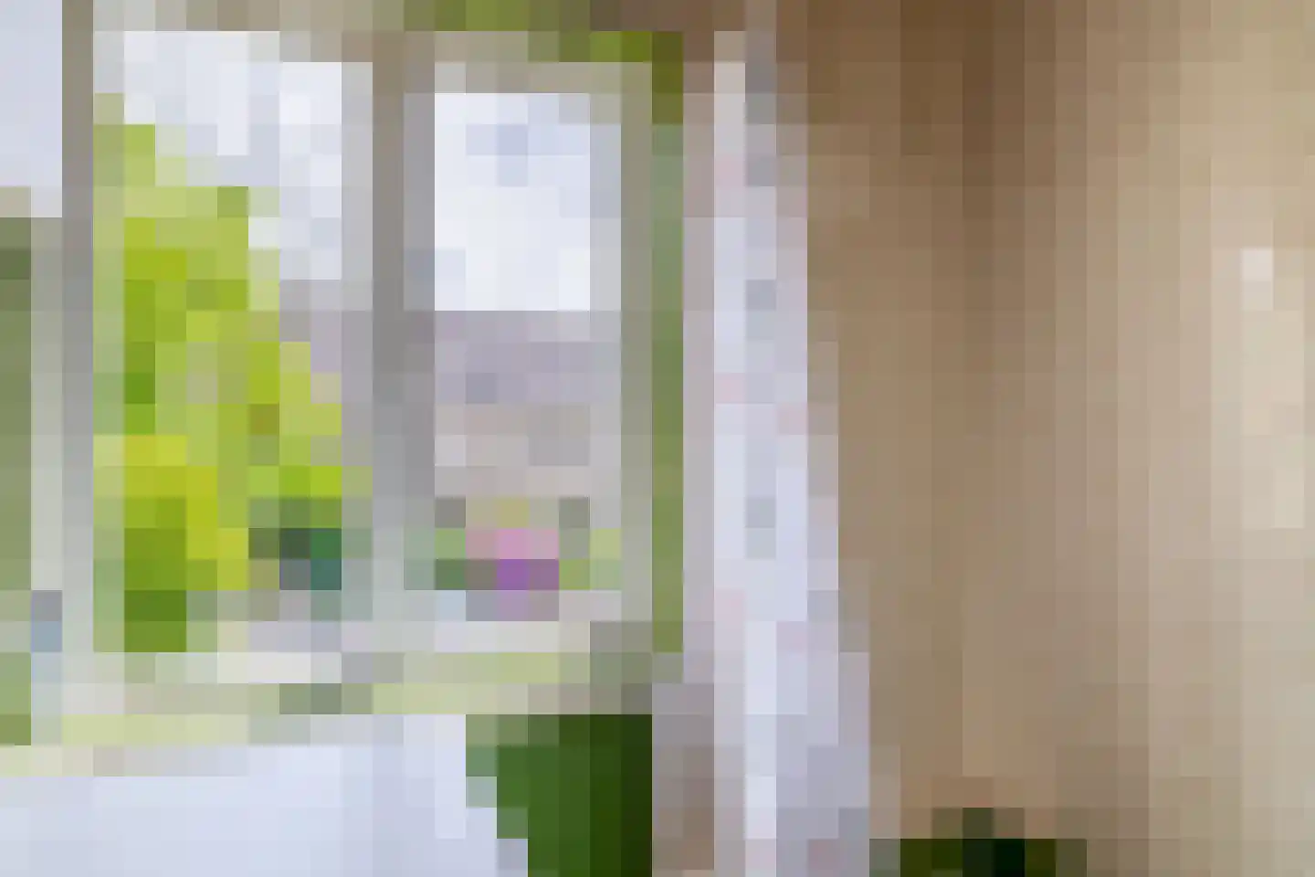 Jan van Heelustraat 4 Eindhoven thumbnail 22