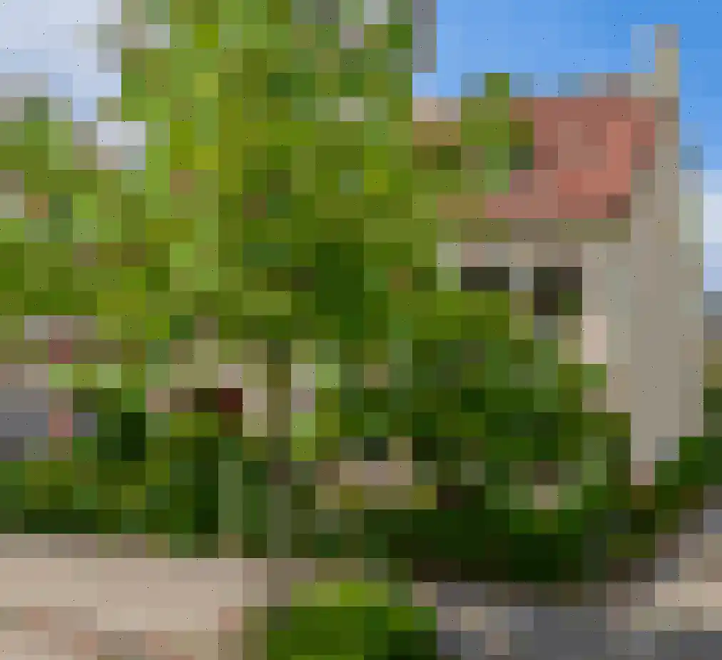 Jan van Heelustraat 4 Eindhoven thumbnail 37