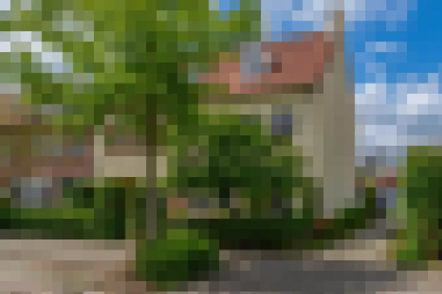 Jan van Heelustraat 4 Eindhoven thumbnail 38