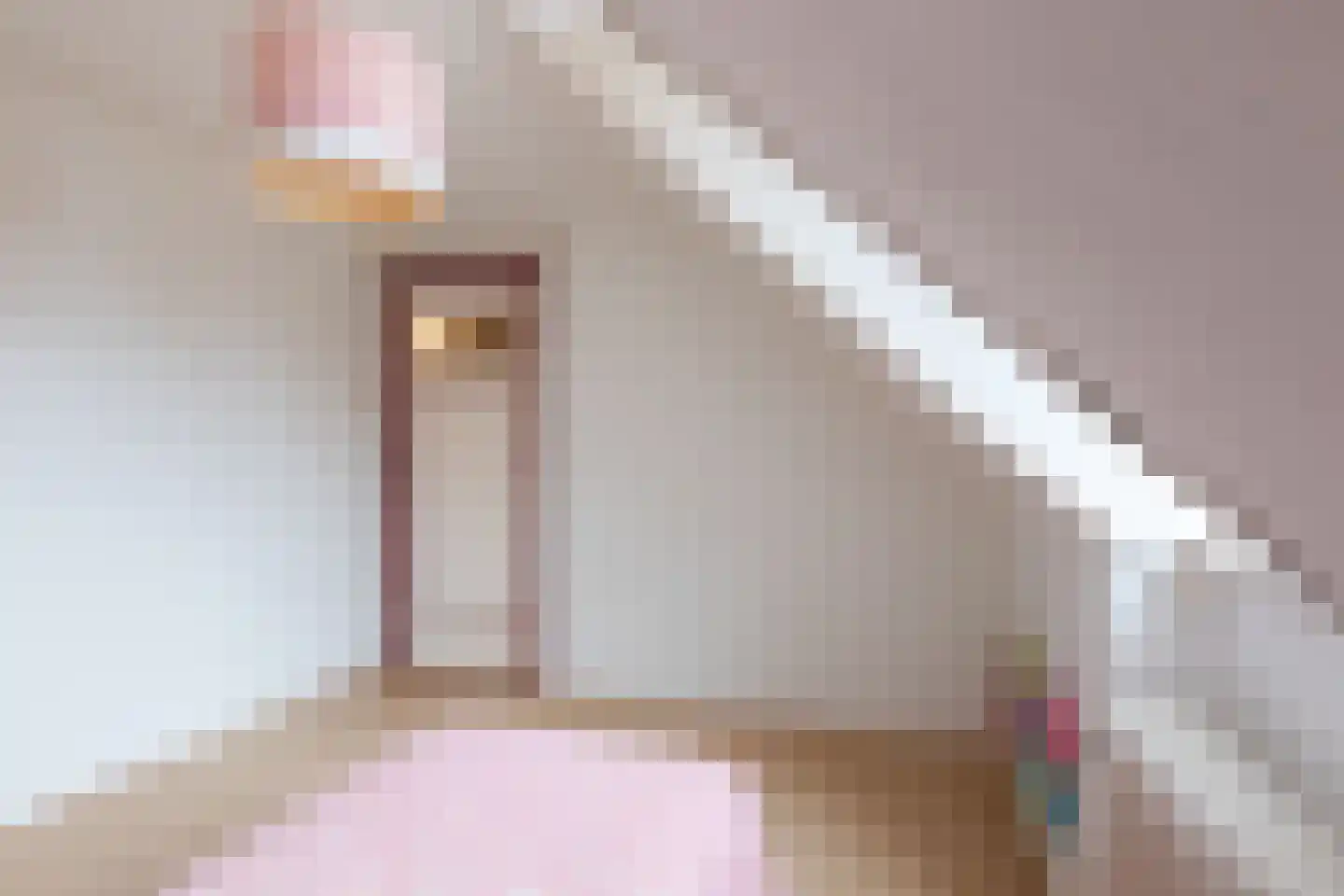 Jan van Heelustraat 4 Eindhoven thumbnail 38